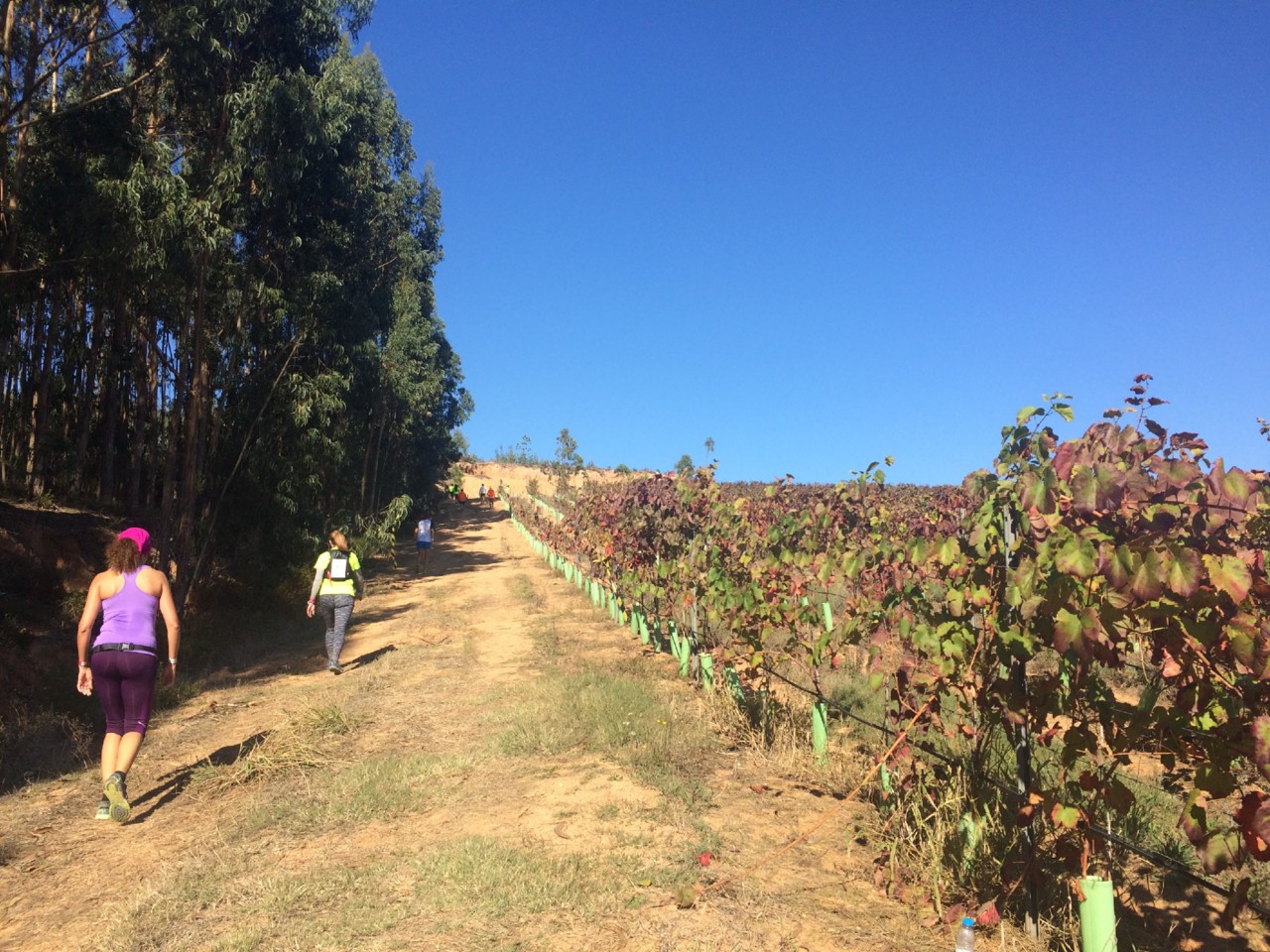 IMG_8978.JPG IMG_8978.JPG