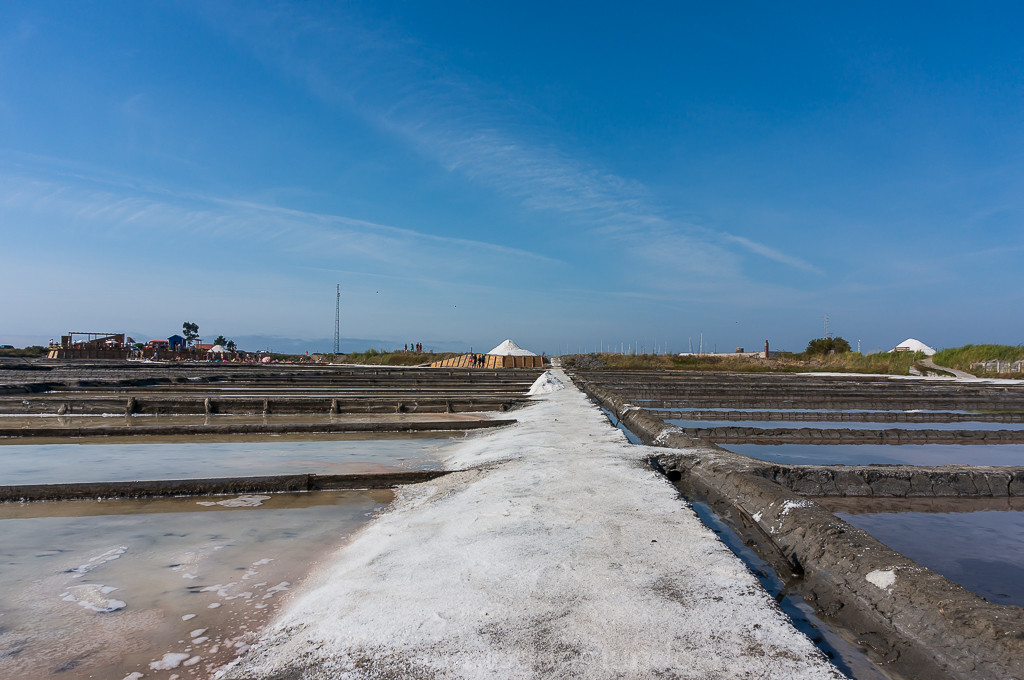 DSC05005.jpg DSC05005.jpg