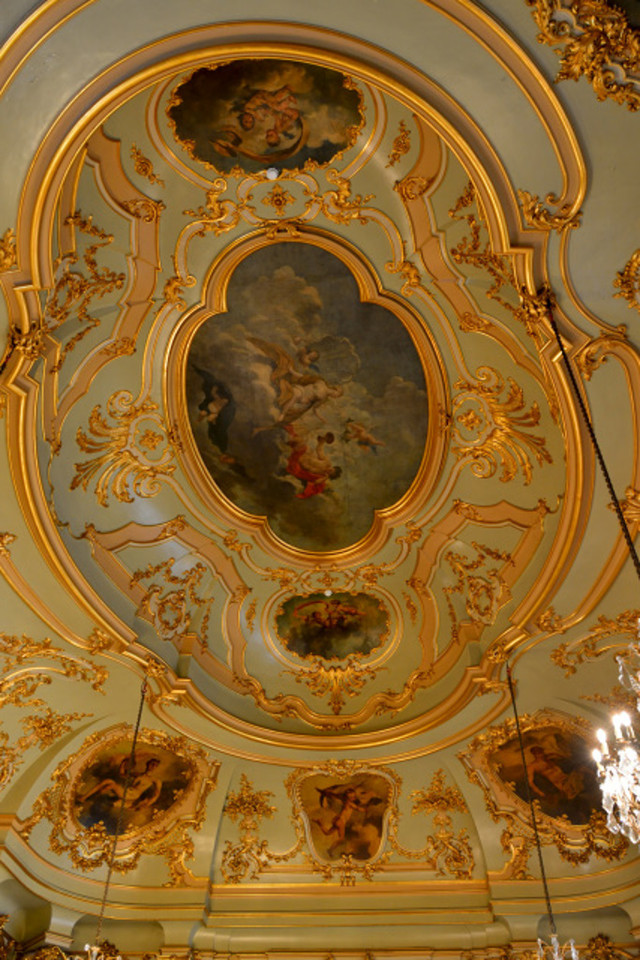 DSC_8833.jpg DSC_8833.jpg