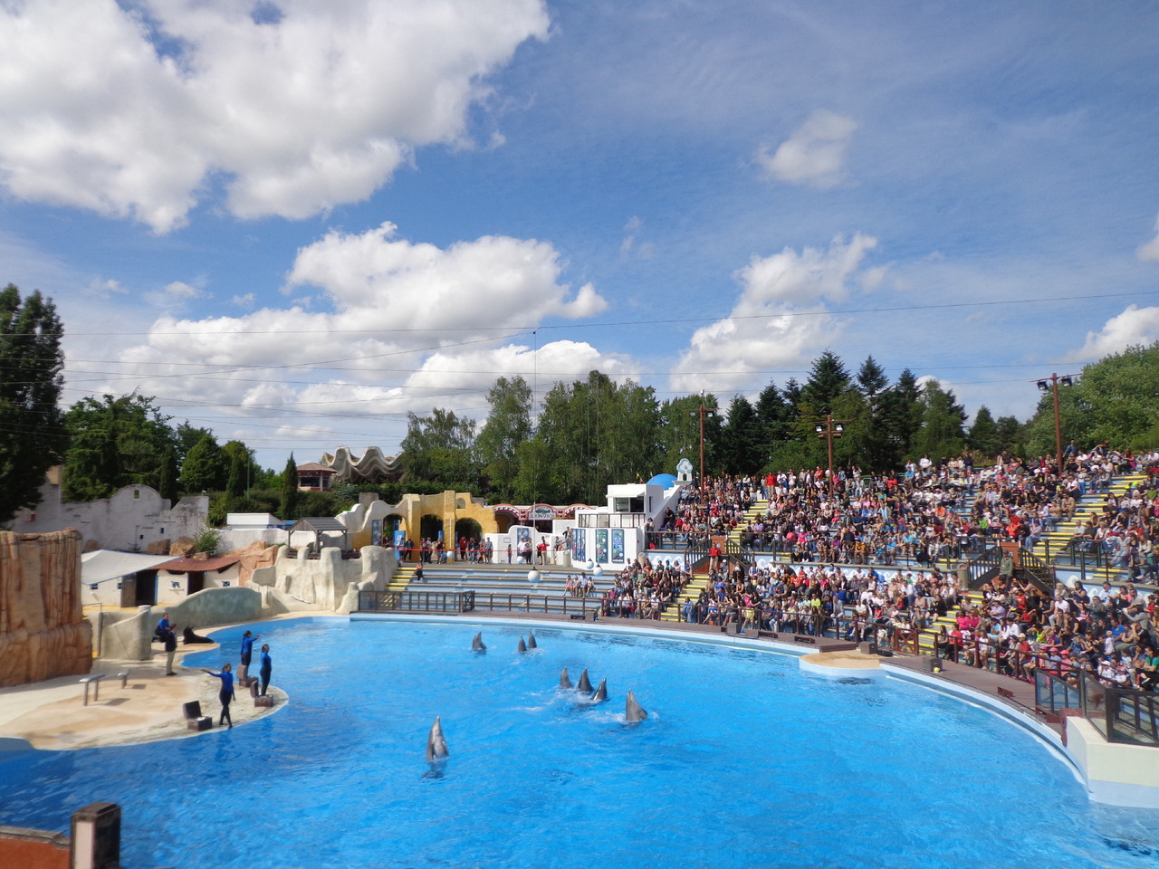 DSC04858.JPG DSC04858.JPG