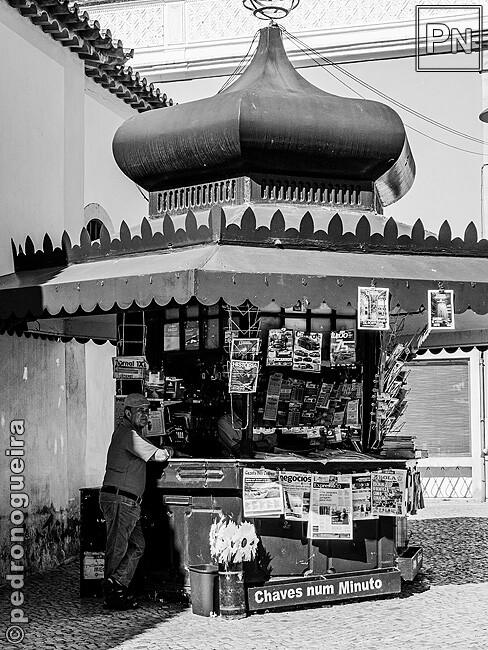 Jul_2023_015 650px.jpg