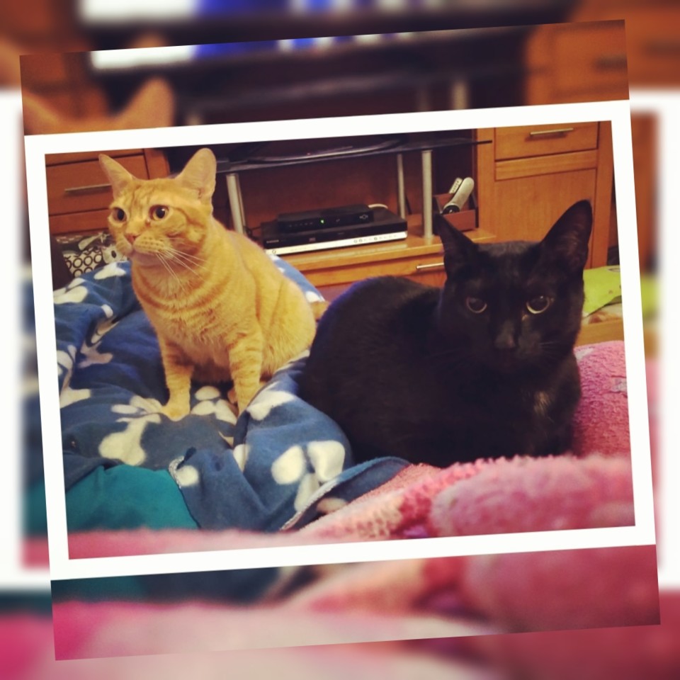 SquarePic_20210117_22431769.jpg SquarePic_20210117_22431769.jpg