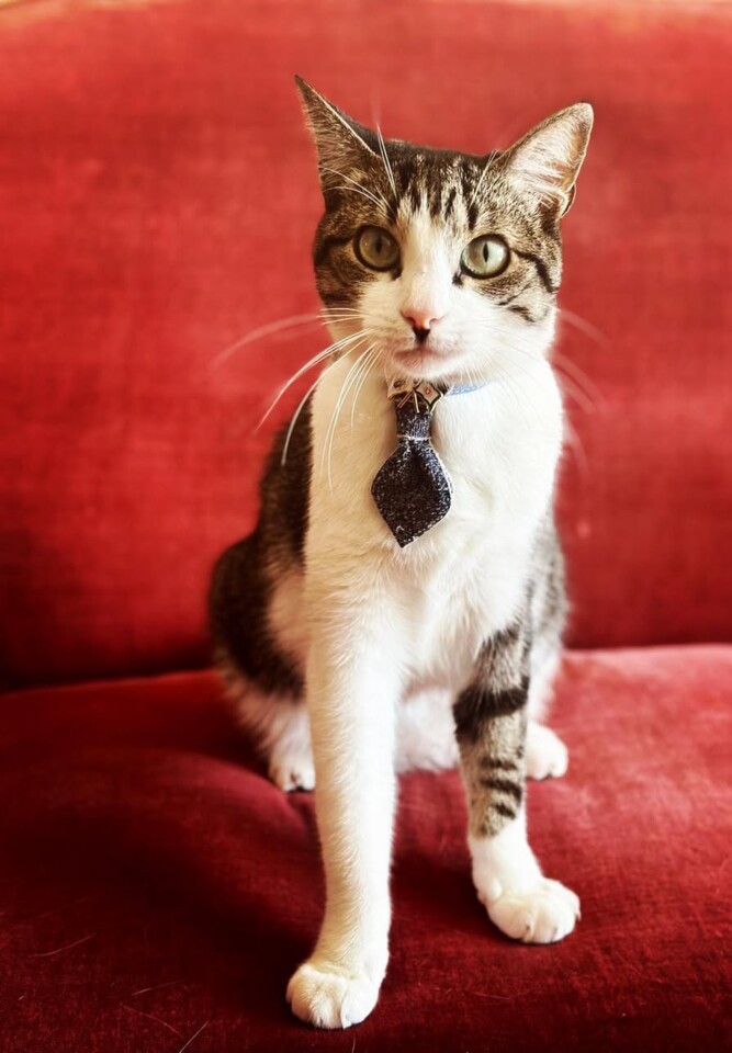 Screenshot_2025-03-05-21-05-11-514_com.instagram.a