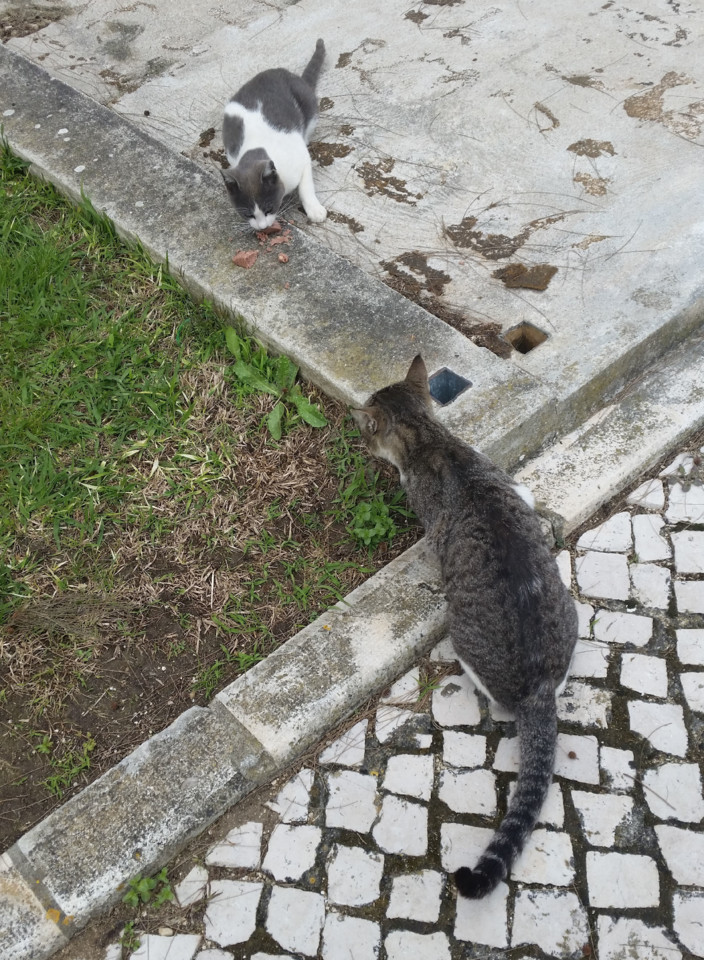 20190408_140552.jpg 20190408_140552.jpg