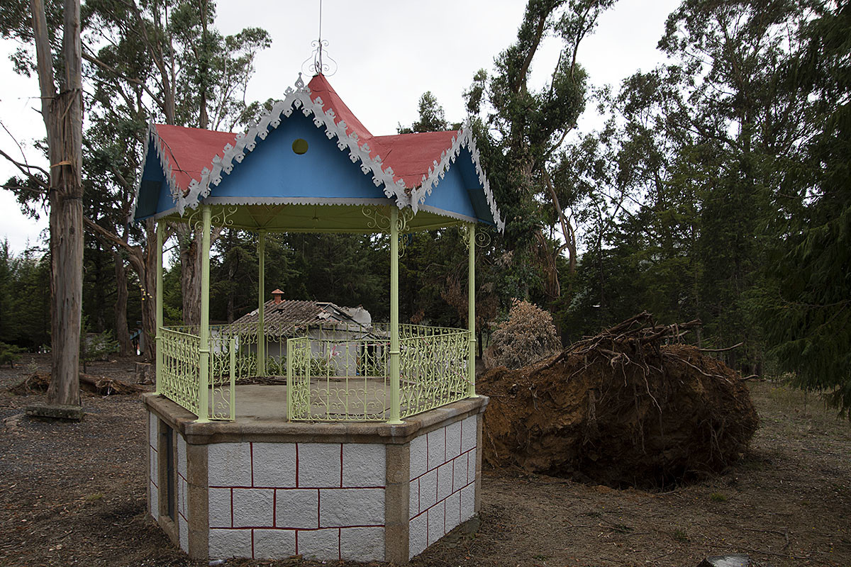 Erada (Covilhã)&#39;20 0017.jpg