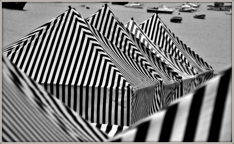 IMG_6367.CR2 (2).jpg