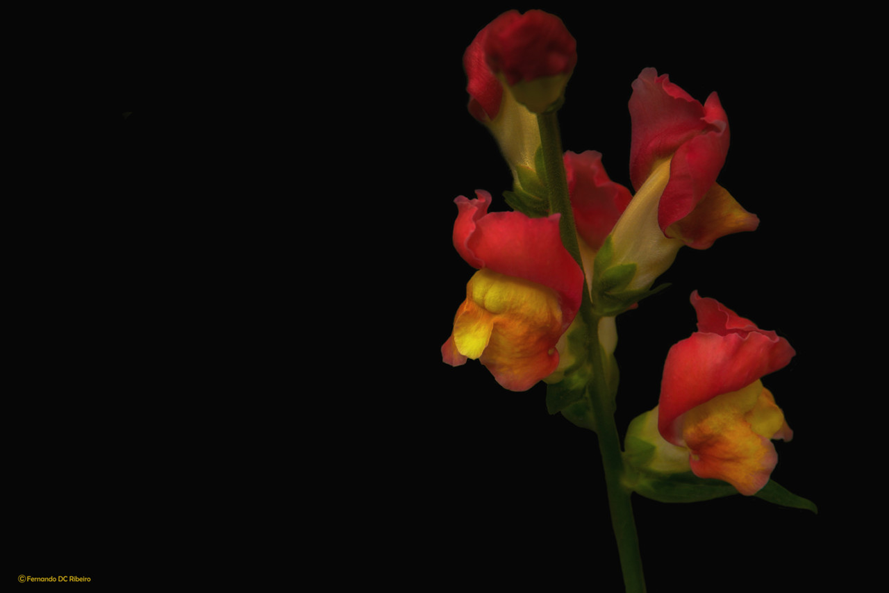 1600-(3090)-sel.jpg 1600-(3090)-sel.jpg