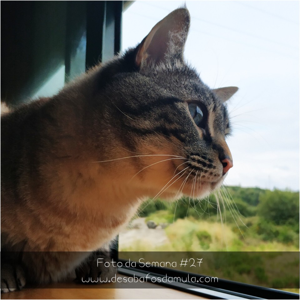 1531318579822.jpg 1531318579822.jpg