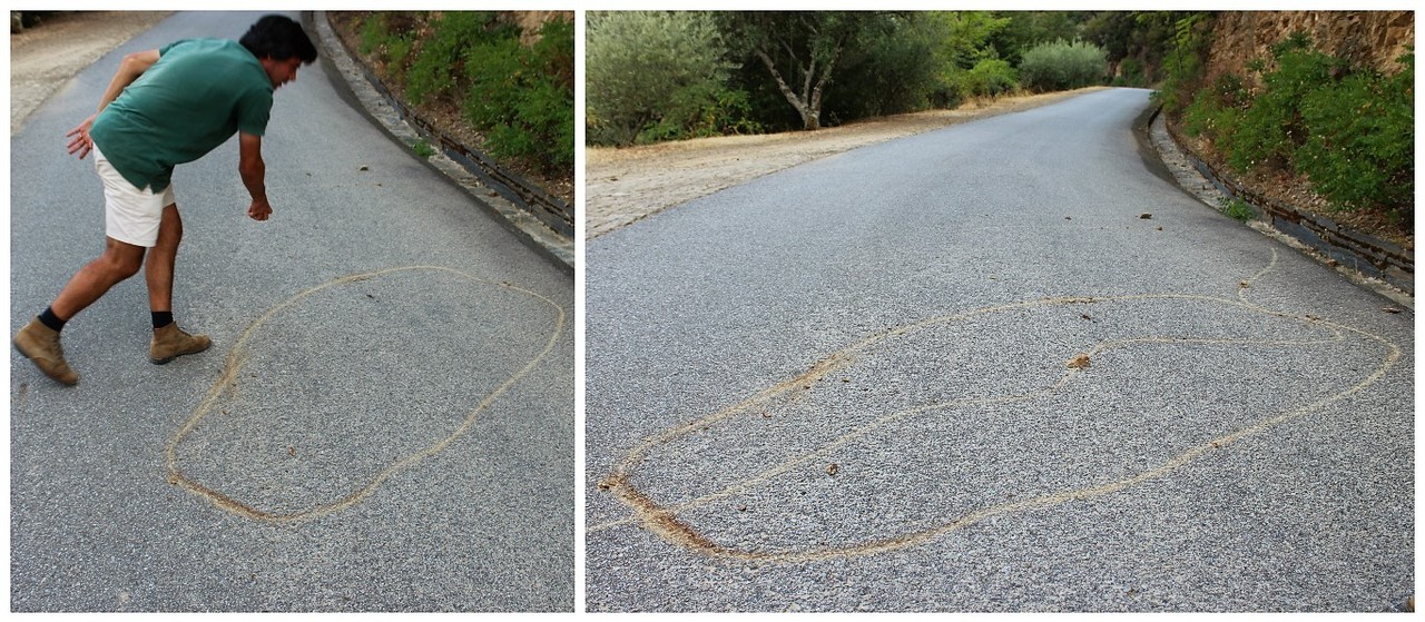 Quinta das Carvalhas - Real Companhia Velha