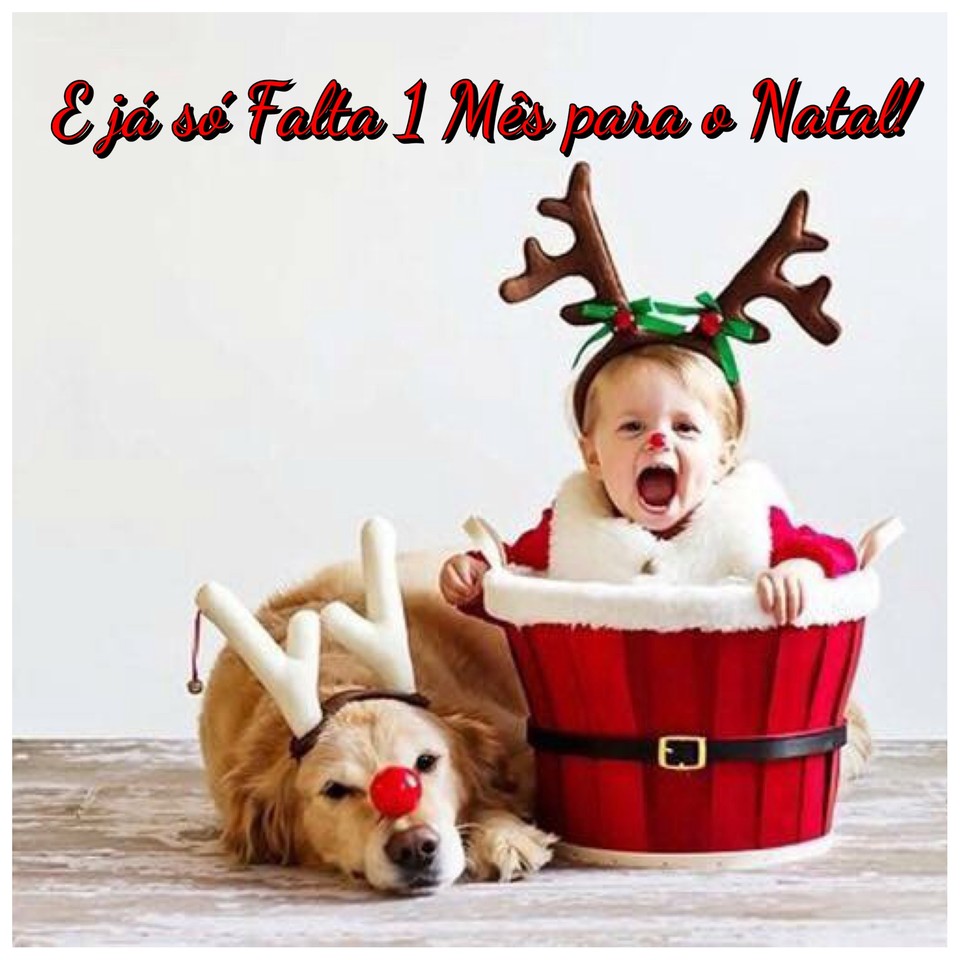 image.jpeg image.jpeg