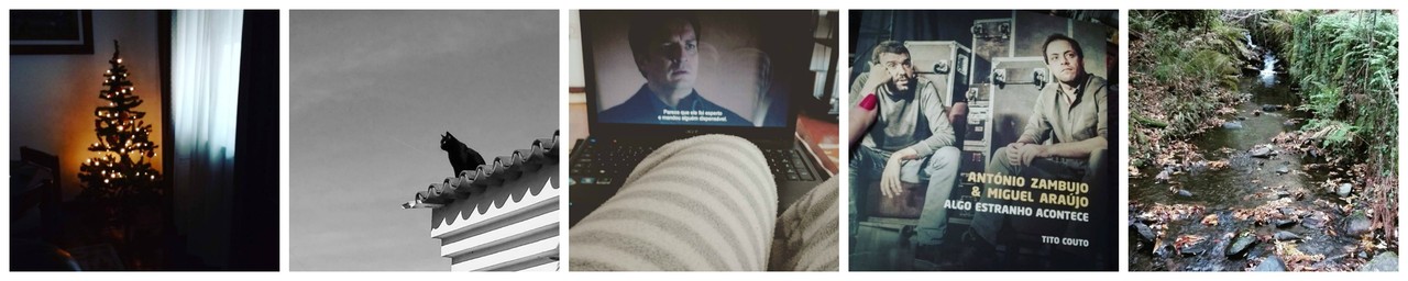 PicMonkey Collage8.jpg