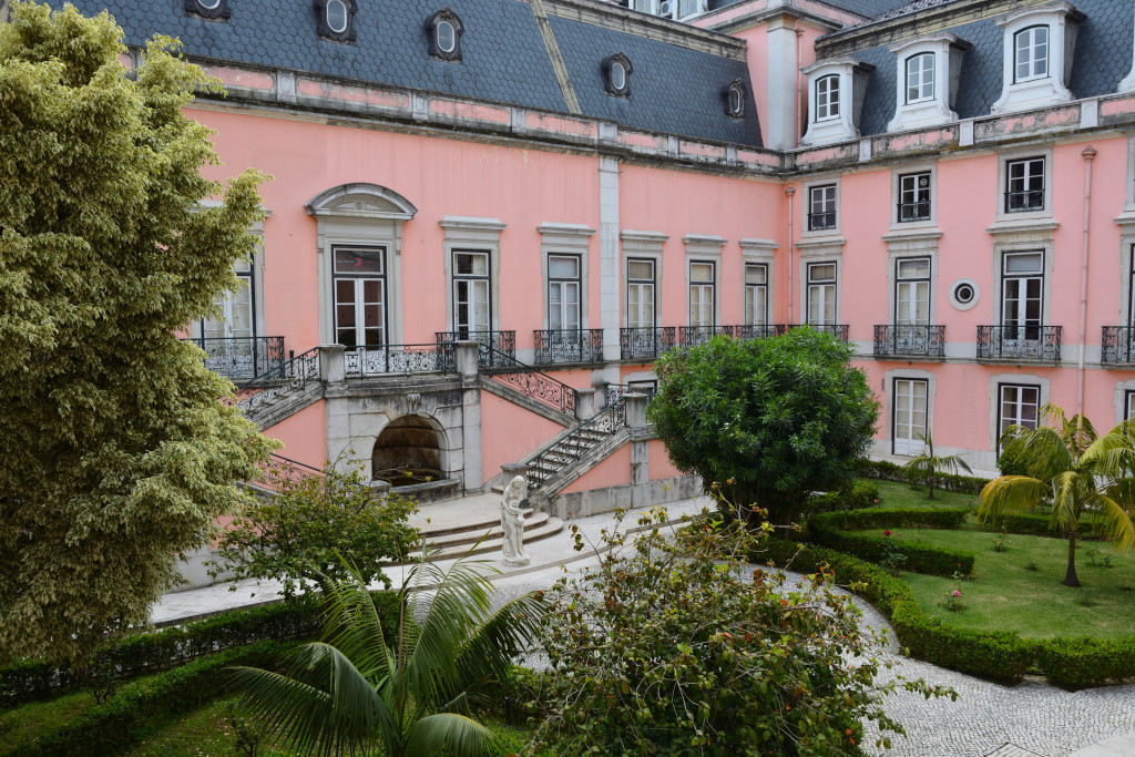 DSC_8843.jpg DSC_8843.jpg