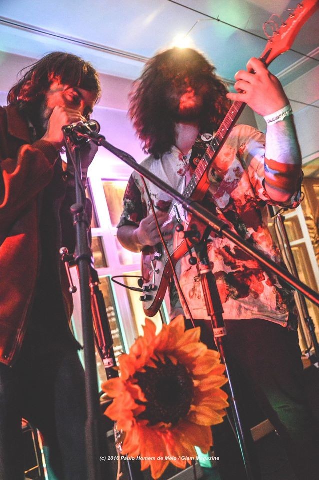 GLAM - The Sunflowers.jpg