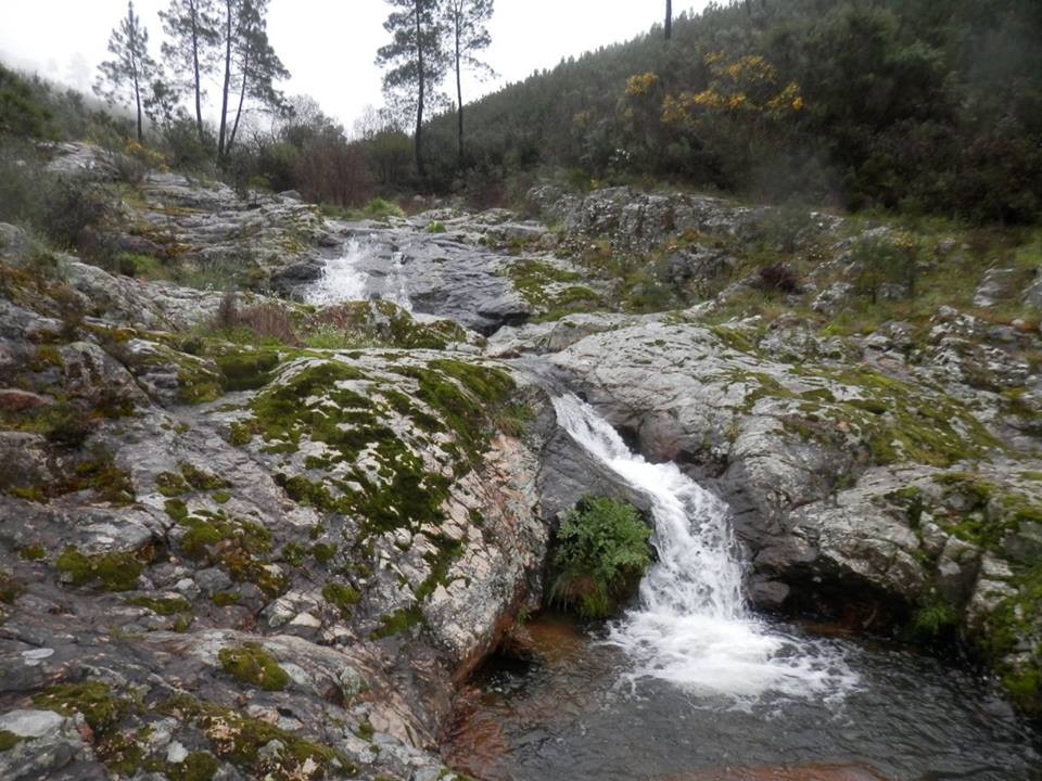 12472651_1147737145237875_3841194236831280256_n.jp 12472651_1147737145237875_3841194236831280256_n.jp