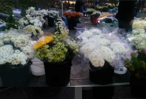 foto 2.png foto 2.png