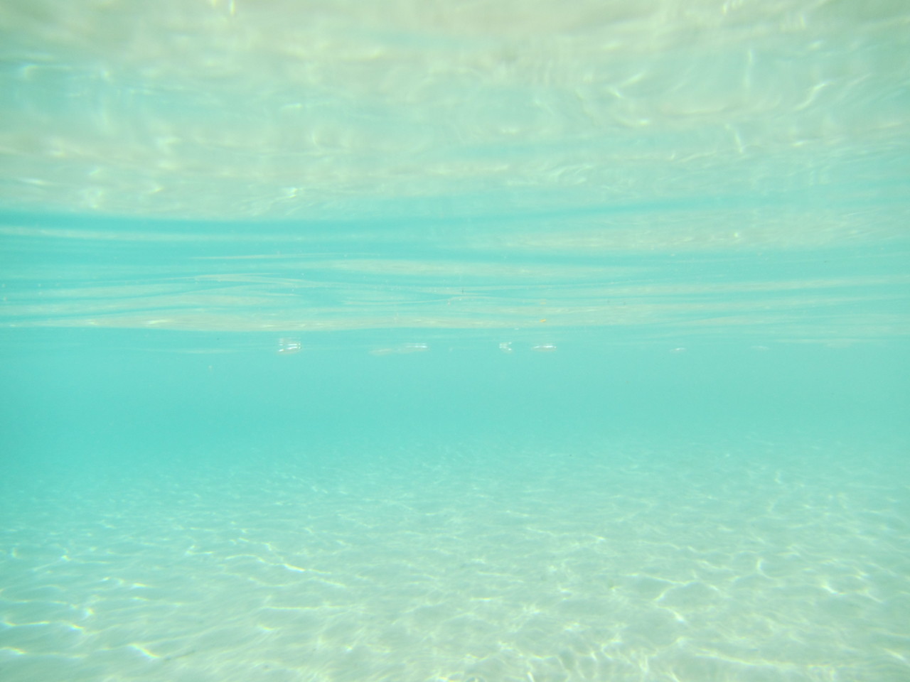 IMG_0484.JPG IMG_0484.JPG