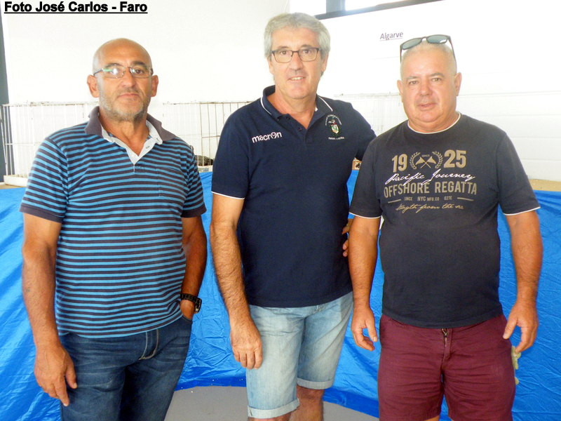 Leilão Serpa 2017 019.JPG