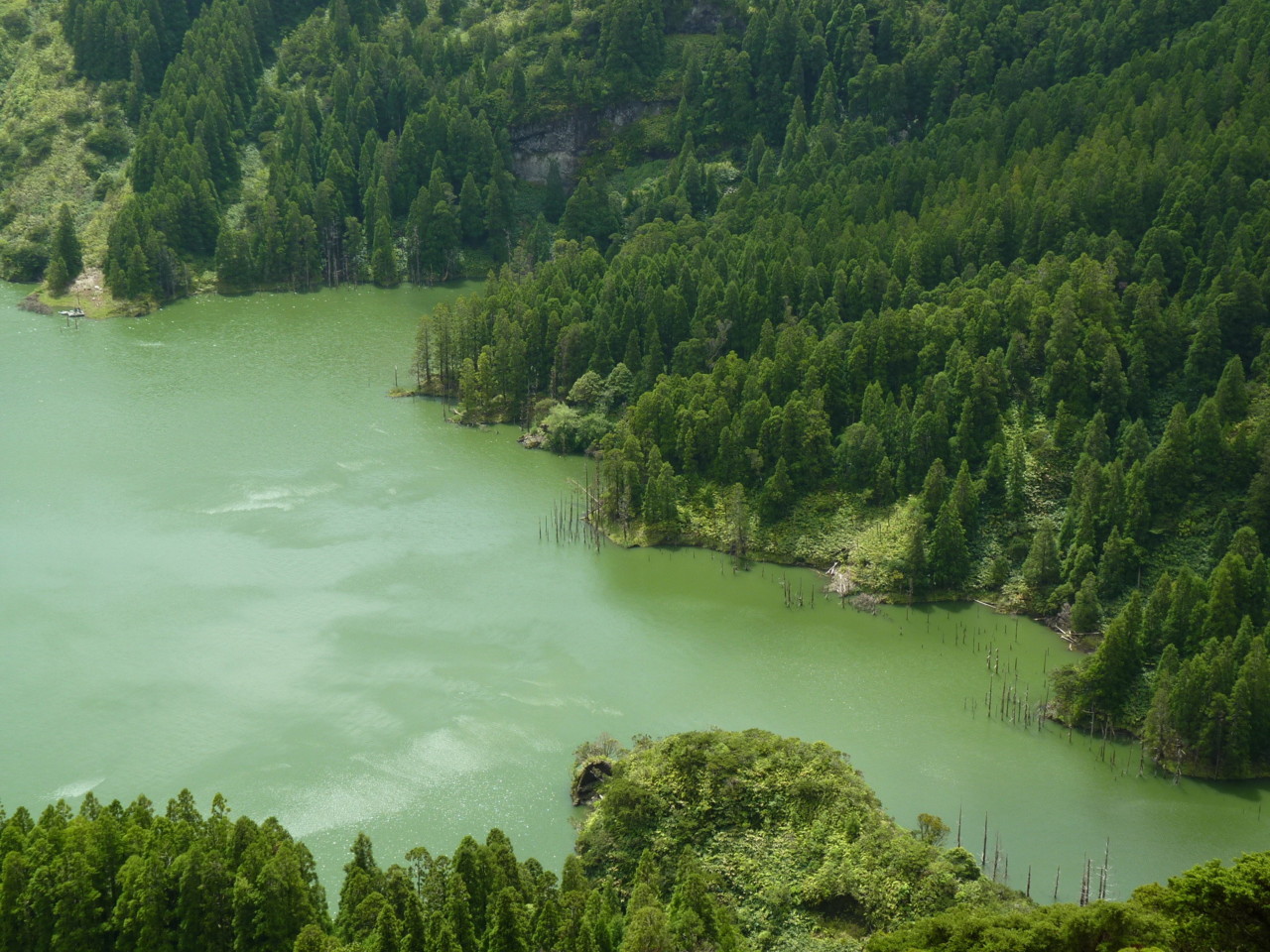 Lagoa Funda, Flores (1).JPG