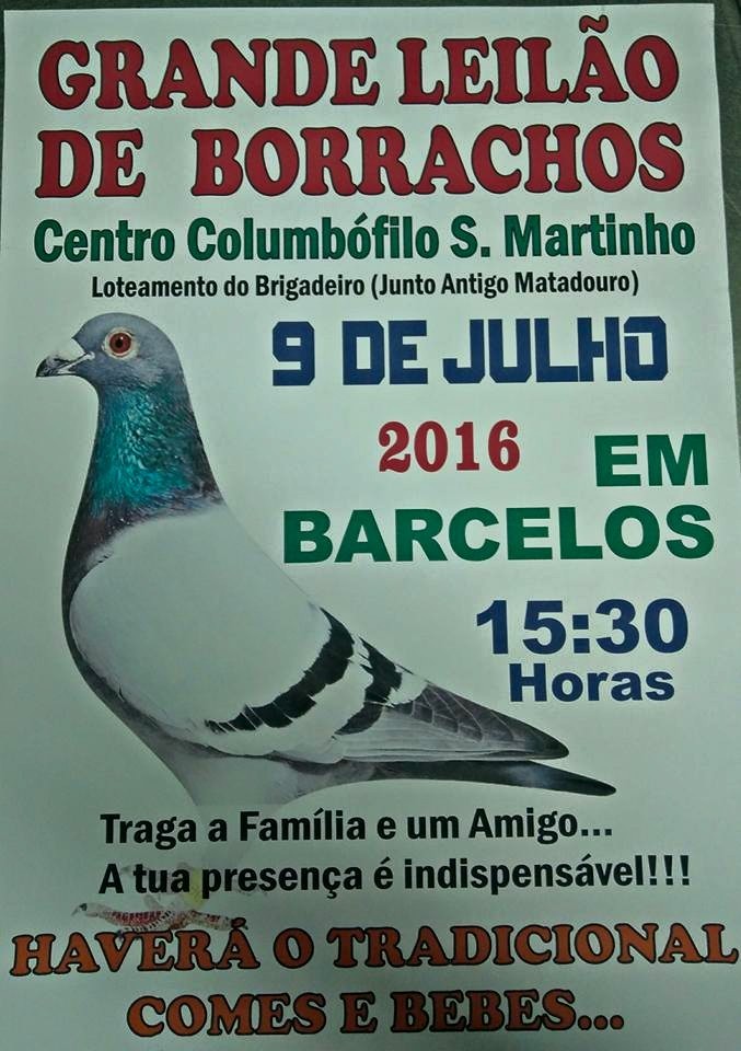 Leilão S Martinho.jpg