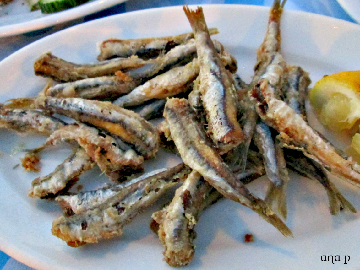 IMG_0295 cópia assin.jpg