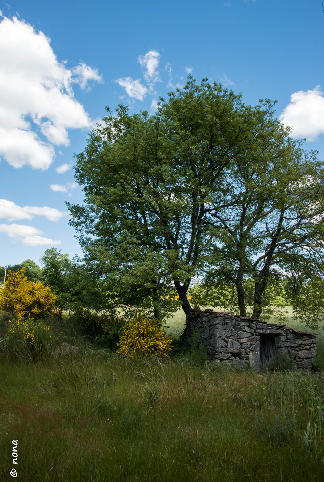34.- Vagueando pela Montanha.jpg