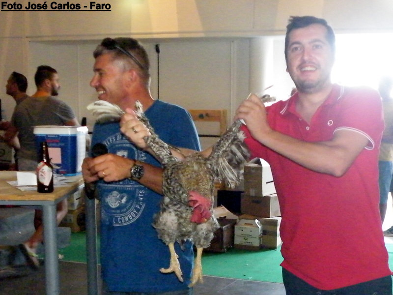 Aljustrel 2017 023.JPG