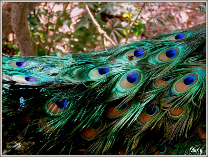 IMG_1212.JPG IMG_1212.JPG