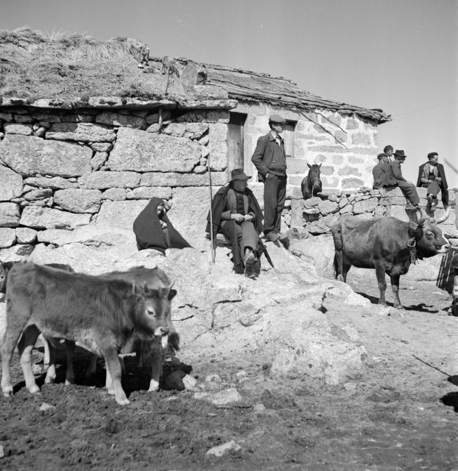 foto de artur pastor.jpg