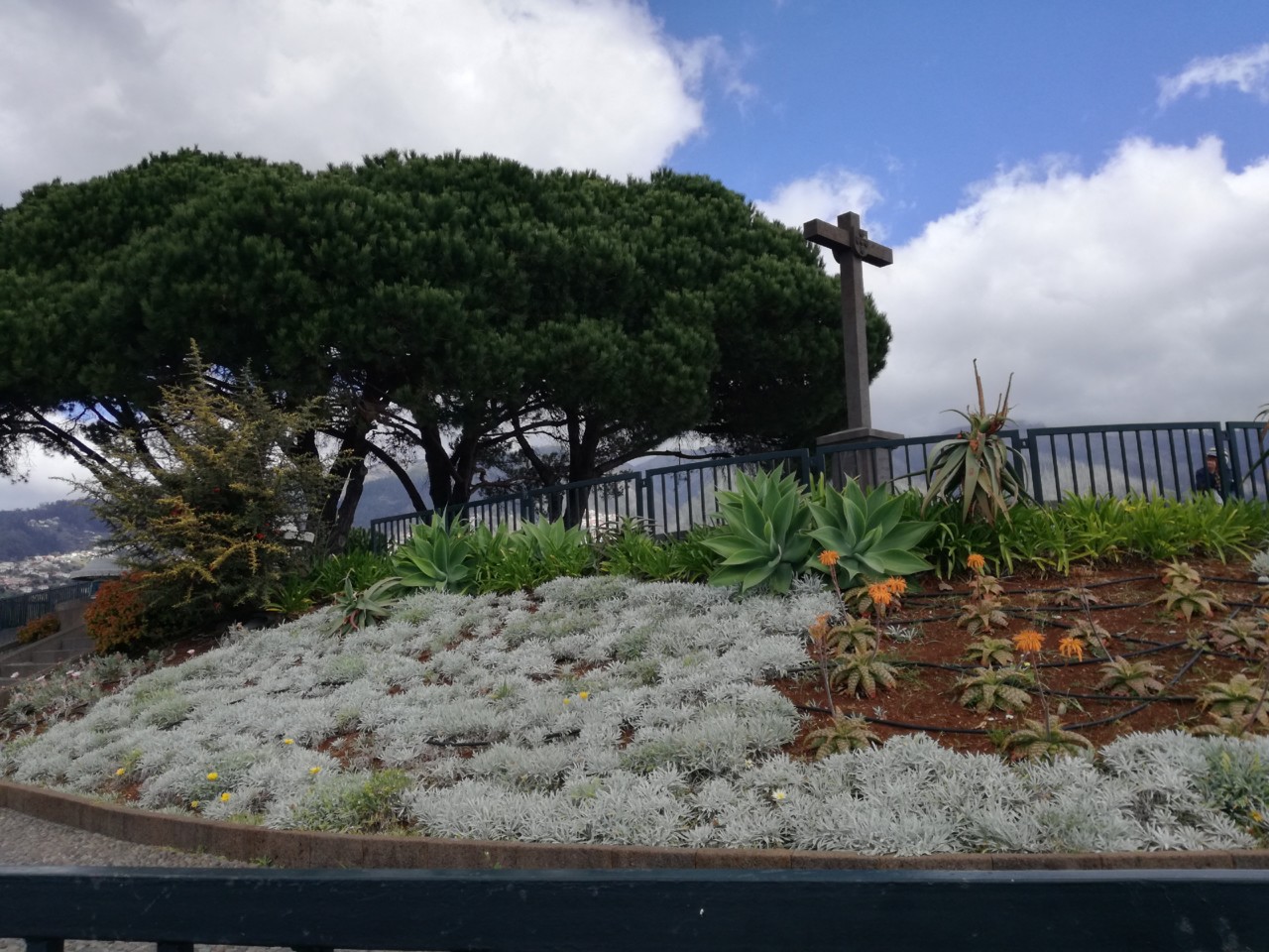 IMG_20190317_115649.jpg IMG_20190317_115649.jpg