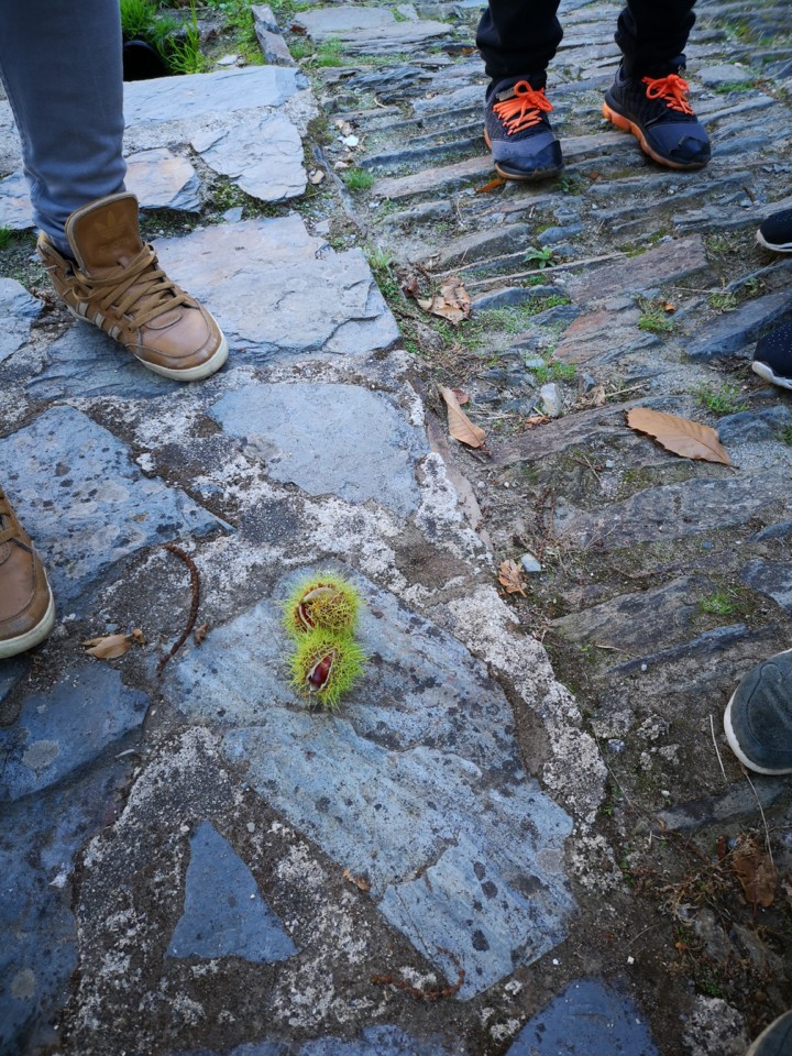 IMG_20191005_160147.jpg IMG_20191005_160147.jpg