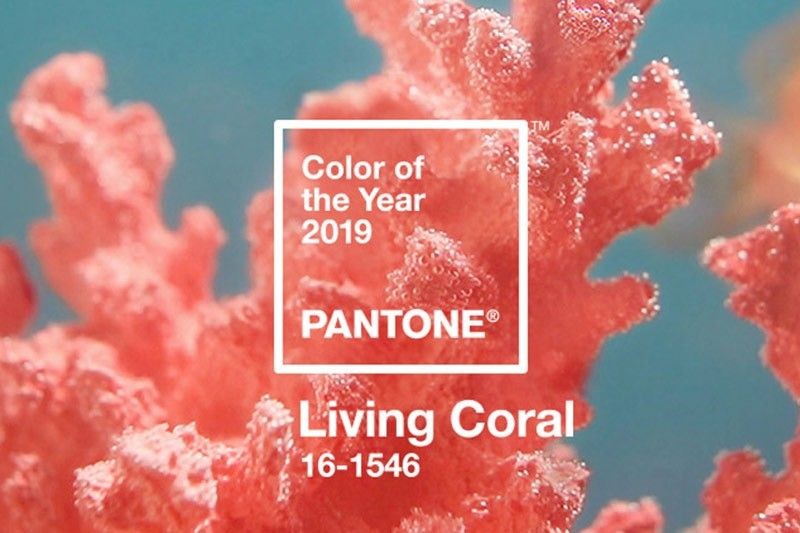 living-coral-pantone-2019_2018-12-06_11-56-59.jpg