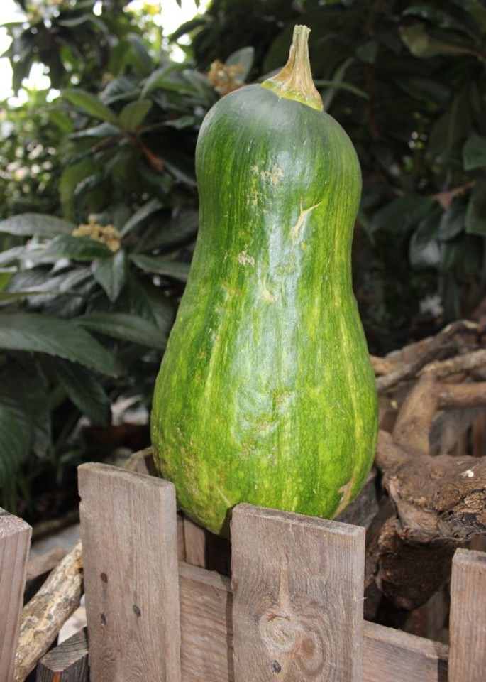 As pendências da vida.jpg