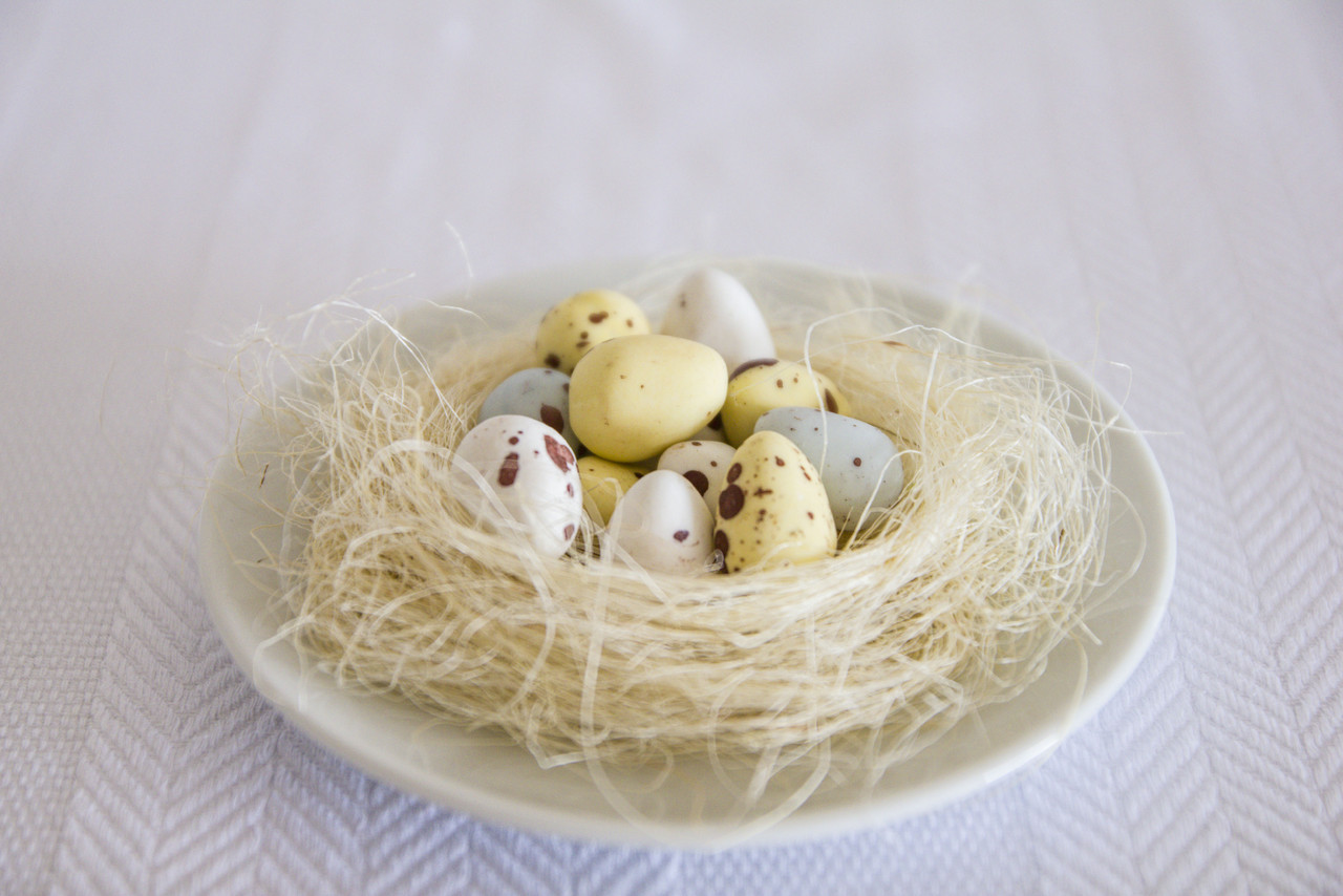 mesa-piloto-pascoa_2.jpg mesa-piloto-pascoa_2.jpg