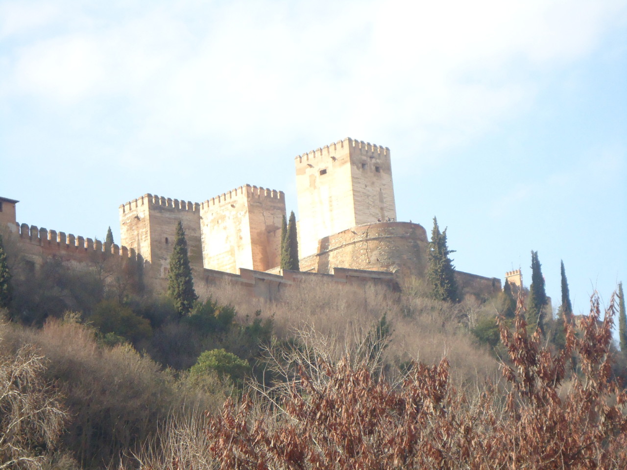 DSC08887.JPG DSC08887.JPG