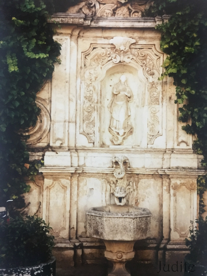 IMG_0138.jpg IMG_0138.jpg