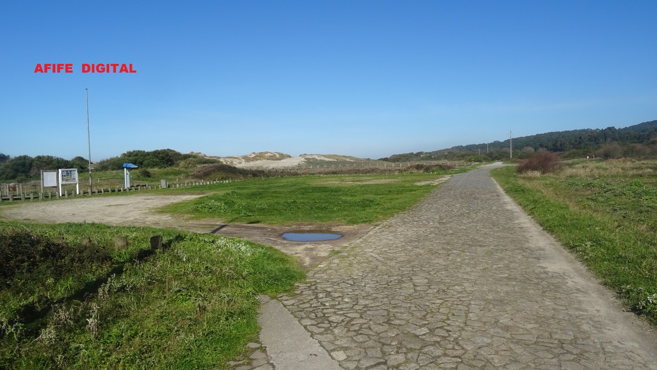 DSC04160.JPG DSC04160.JPG