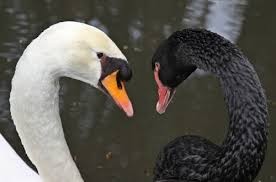 DE OLHOS NOS OLHOS.jpg