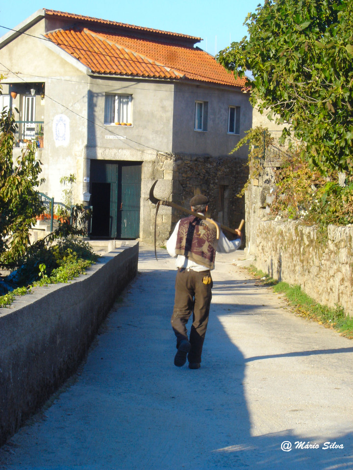 DSC05063ms nov 07.JPG