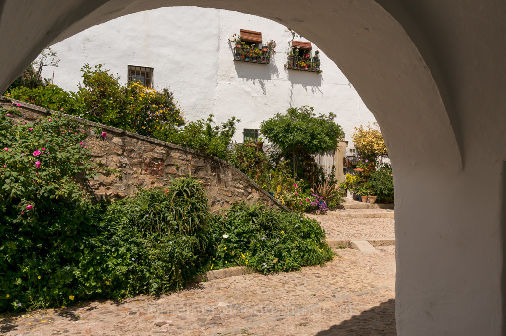 _DSC6281.jpg _DSC6281.jpg