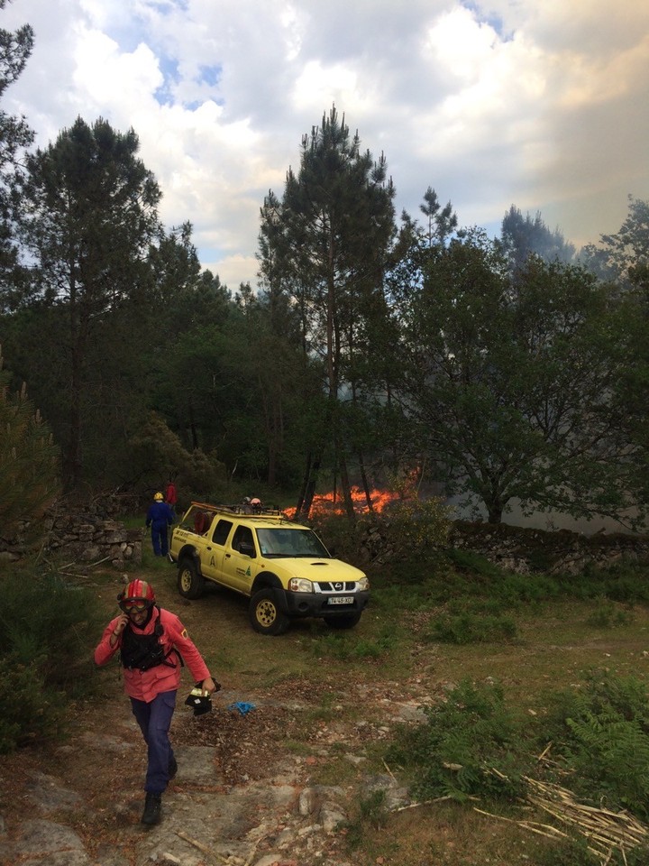 imgpsh_fullsize (12).jpg