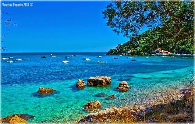 11261210_871038702934395_9076017921013769332_n.jpg 11261210_871038702934395_9076017921013769332_n.jpg