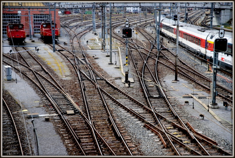 IMG_9614.JPG IMG_9614.JPG