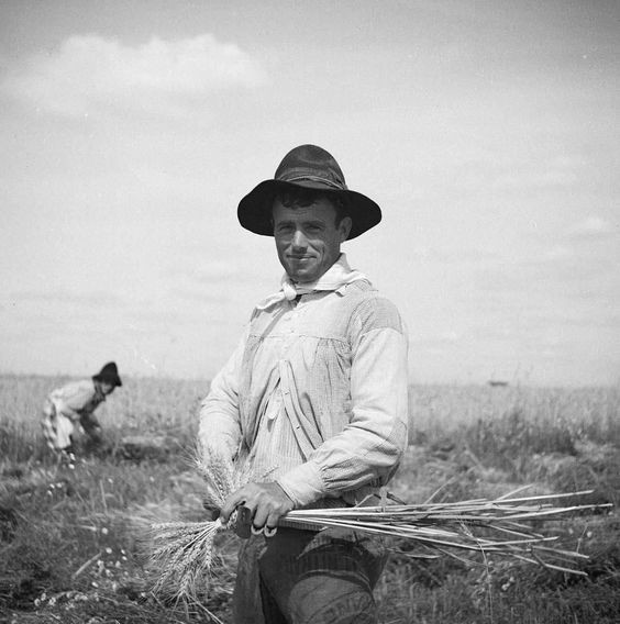 d0da863bfa25749ac26c020099f84ba0.jpg d0da863bfa25749ac26c020099f84ba0.jpg