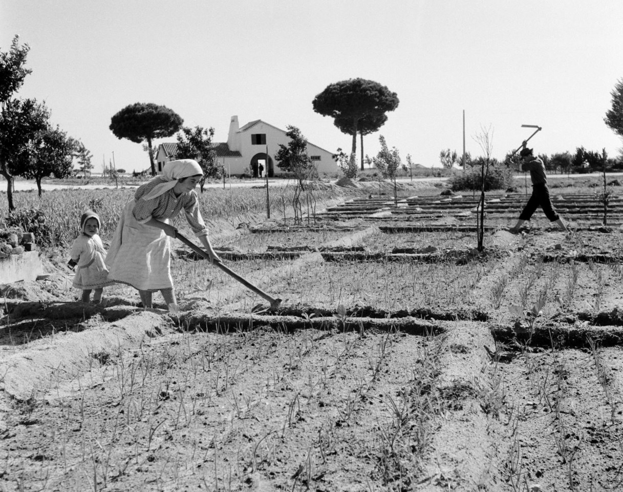 13- foto -colonos.jpg