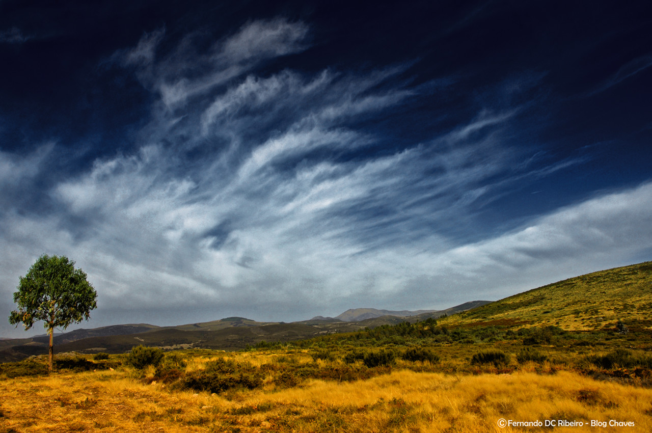 x-1600-arcos (179).jpg