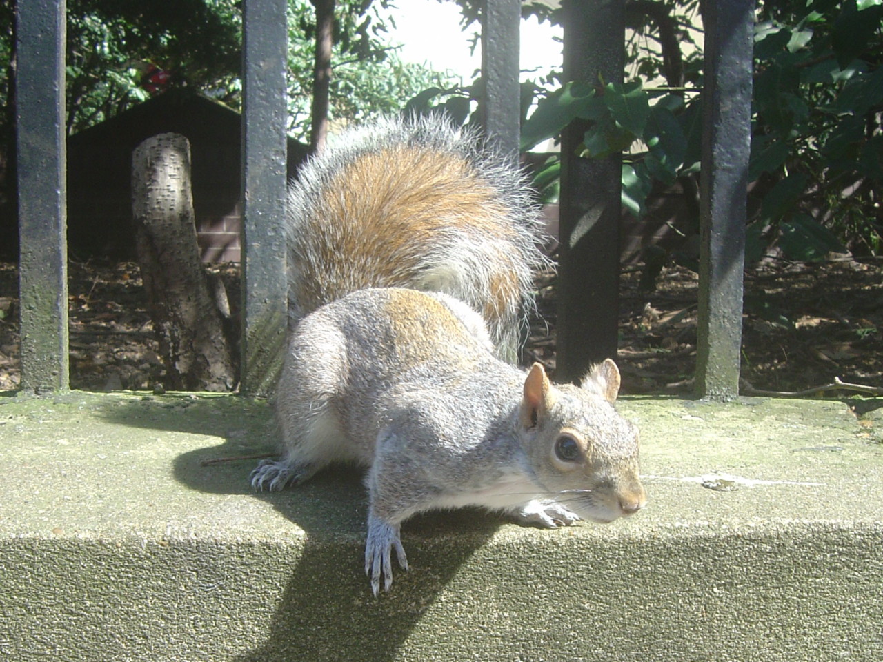 Londres_2013 378.jpg