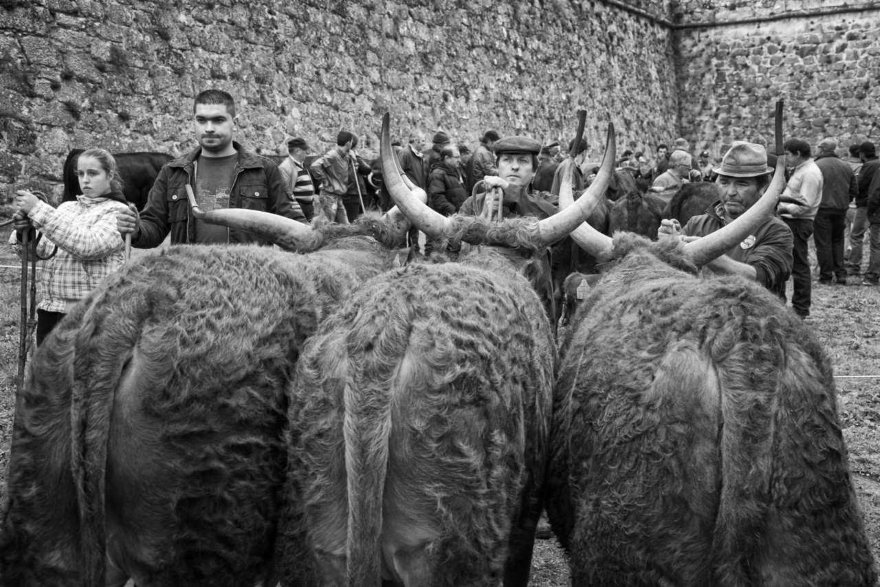 Santos 2015 (1) 211 - cópia copy.jpg