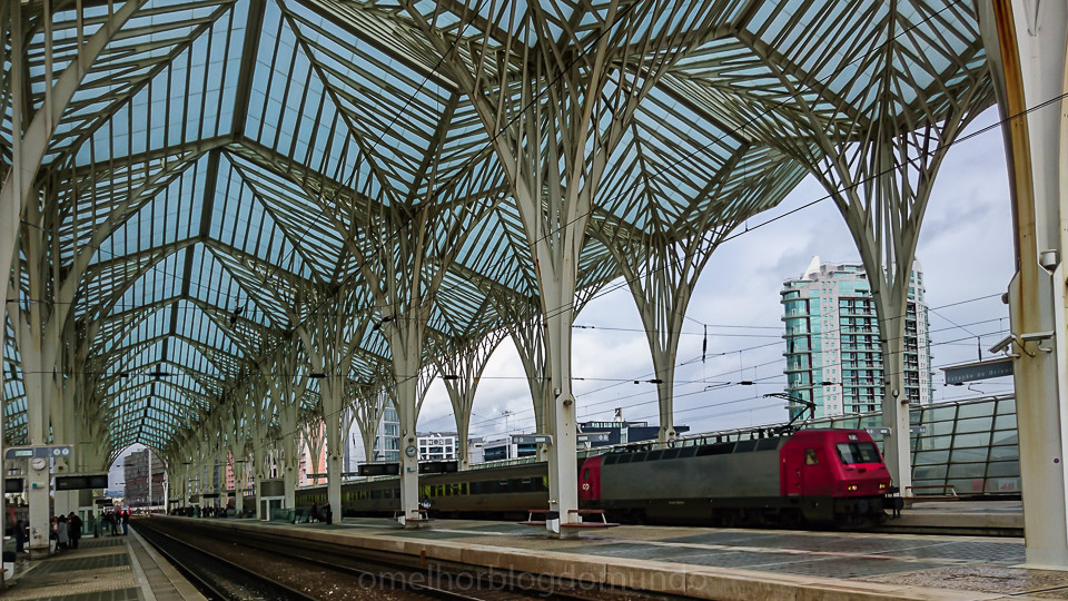 DSC_0213.jpg DSC_0213.jpg