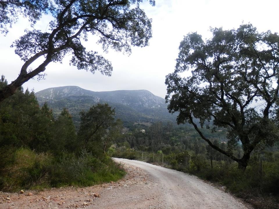 934136_1154042257940697_8437332787850543685_n.jpg 934136_1154042257940697_8437332787850543685_n.jpg