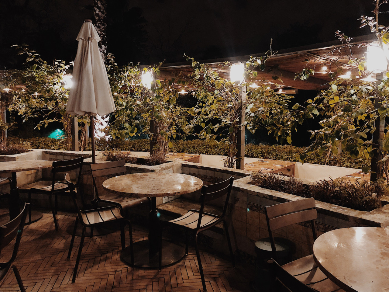 CA17B314-708B-4577-BE0A-64361D475281.jpeg CA17B314-708B-4577-BE0A-64361D475281.jpeg